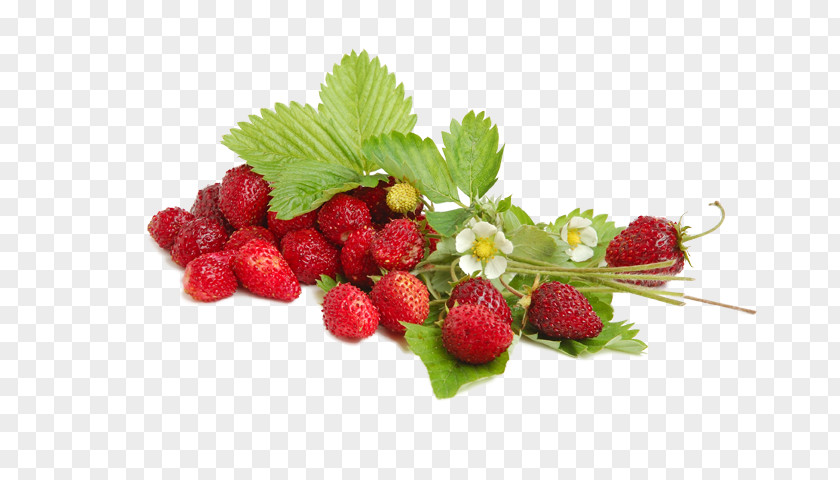 Strawberry Fragolino Wild Liqueur PNG