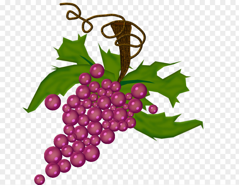 Tempting Grapes Logo Grape Drawing PNG