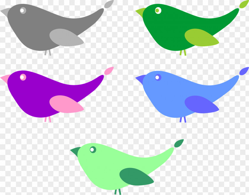 Bird Beak Wing Clip Art PNG