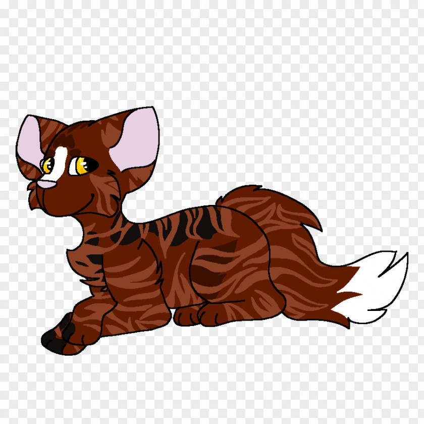 Dew Cat Kitten Dog Vertebrate Mammal PNG