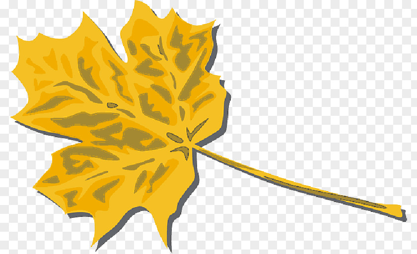 Orange Tree Clip Art Vector Graphics Autumn Free Content PNG