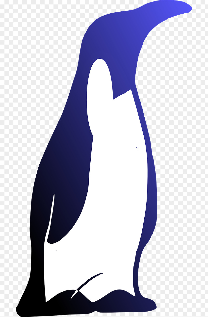 Penguin Emperor Bird Antarctica Clip Art PNG