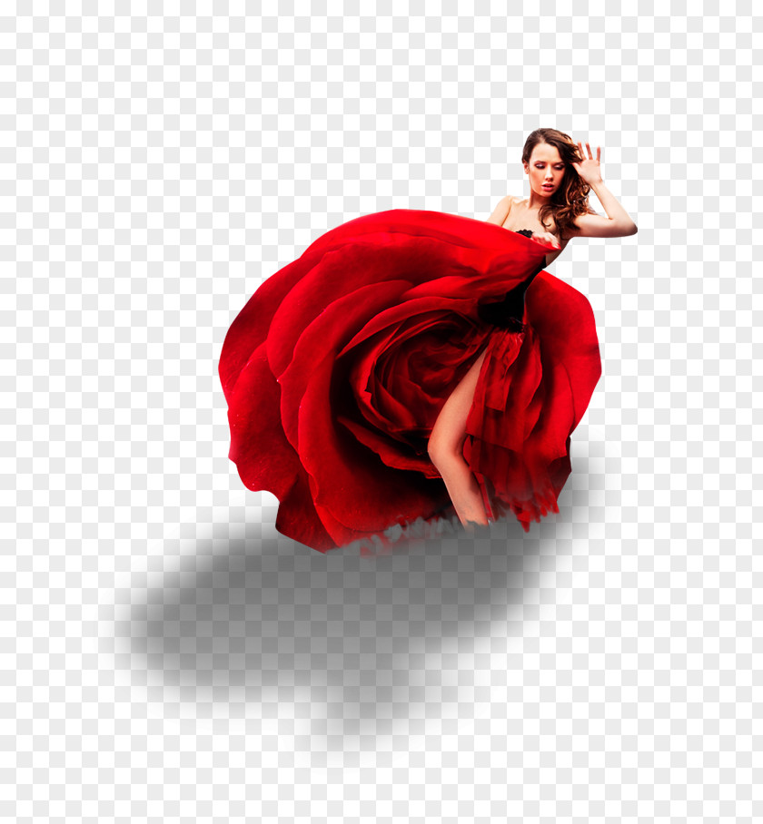 Red Dress Beautiful Decorative Patterns Andalusia Flamenco Dance Art Salsa PNG