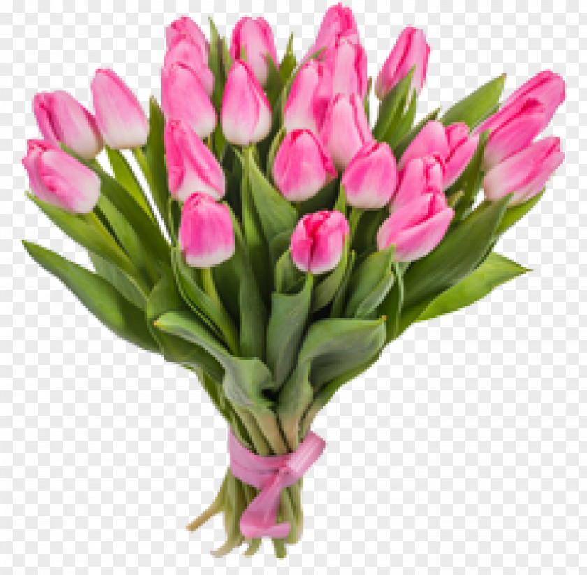 Tulip Flower Bouquet Gift Pink PNG