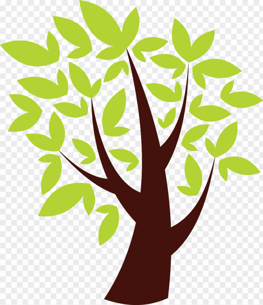Cross Cultural Competence Tree Oak PNG