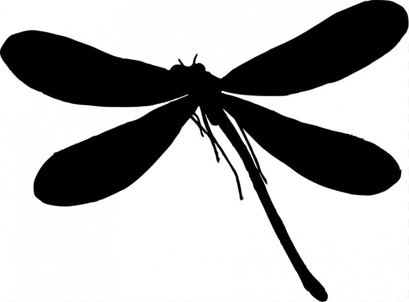 Dragonfly Graphics Silhouette Clip Art PNG