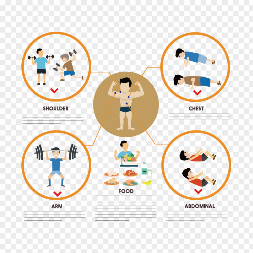 Fitness Vector Analysis Diagram Euclidean Physical Exercise Icon PNG