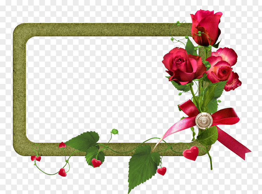Rose Clip Art Picture Frames Borders And PNG