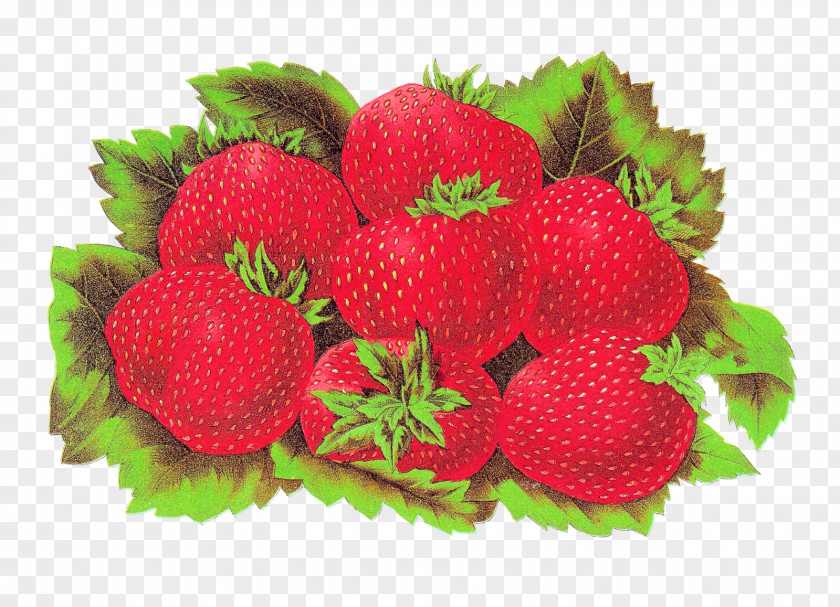 Strawberry Illustration Label Shortcake Accessory Fruit Food PNG