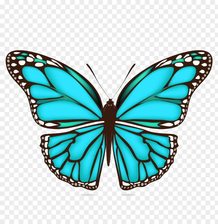 Creative Butterfly Clip Art PNG