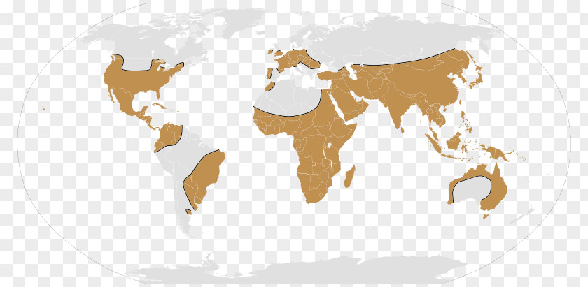 Globe World Map PNG