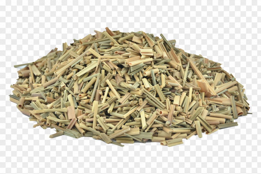 Lemongrass Cultivator Natural Products Pvt. Ltd. Cymbopogon Citratus Organic Food Herb Spice PNG
