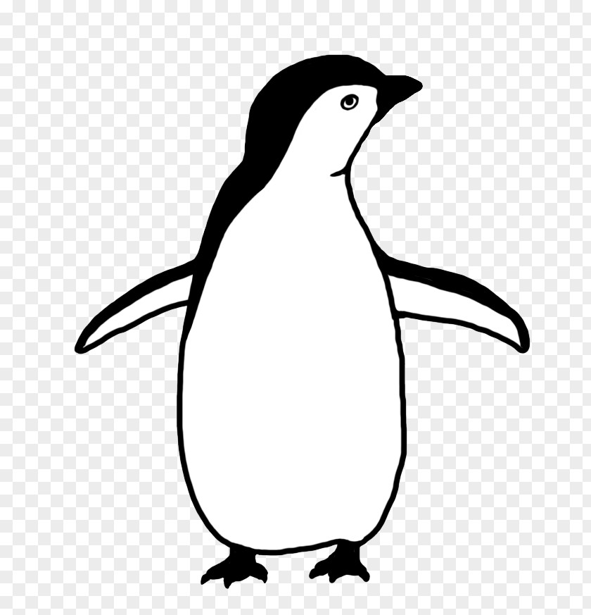 Penguins Baby Black And White Drawing Clip Art PNG
