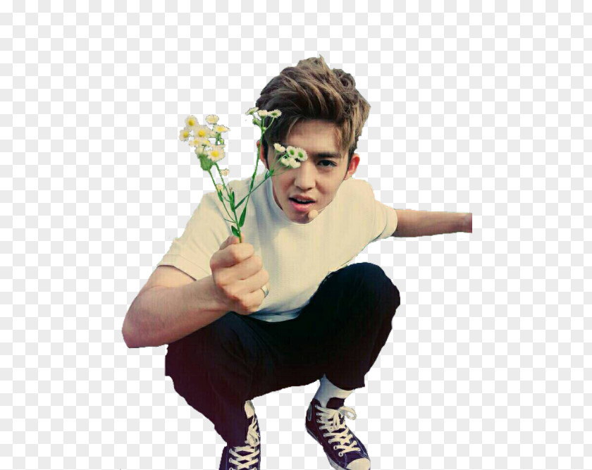 Seventeen S.Coups Teen, Age K-pop PNG