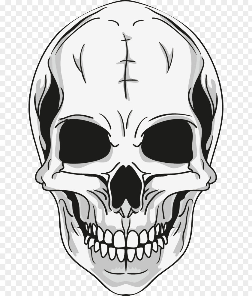 Skull Calavera Sticker Decal PNG