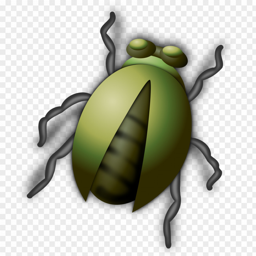 Bugs Insect Clip Art PNG