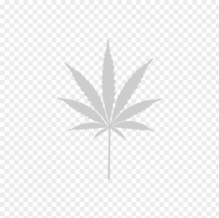 Cannabis Medical Stock Illustration Photography PNG