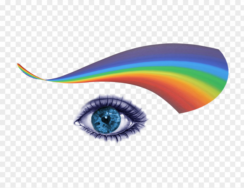Eye Visual Perception Blind Spot PNG