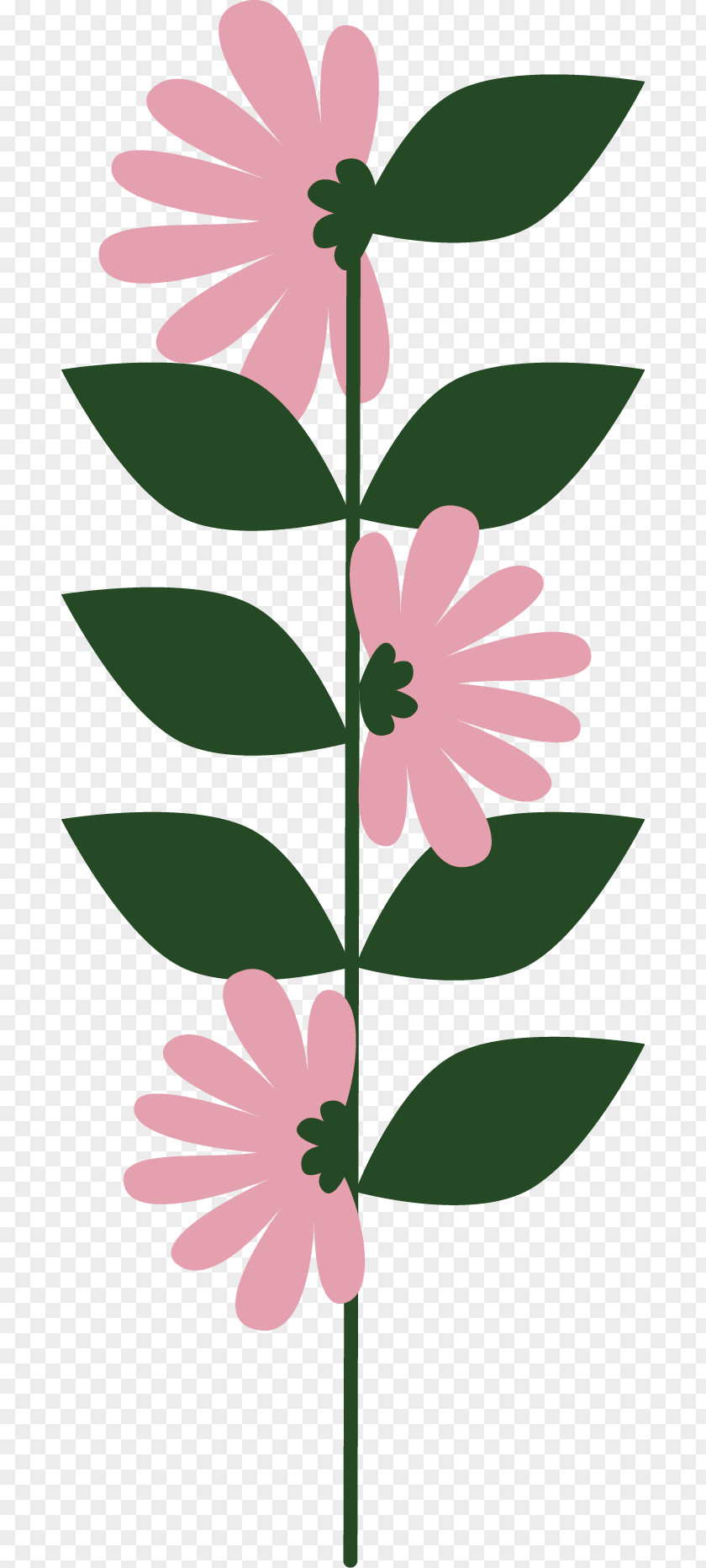 Floral Decoration Flower Common Daisy PNG