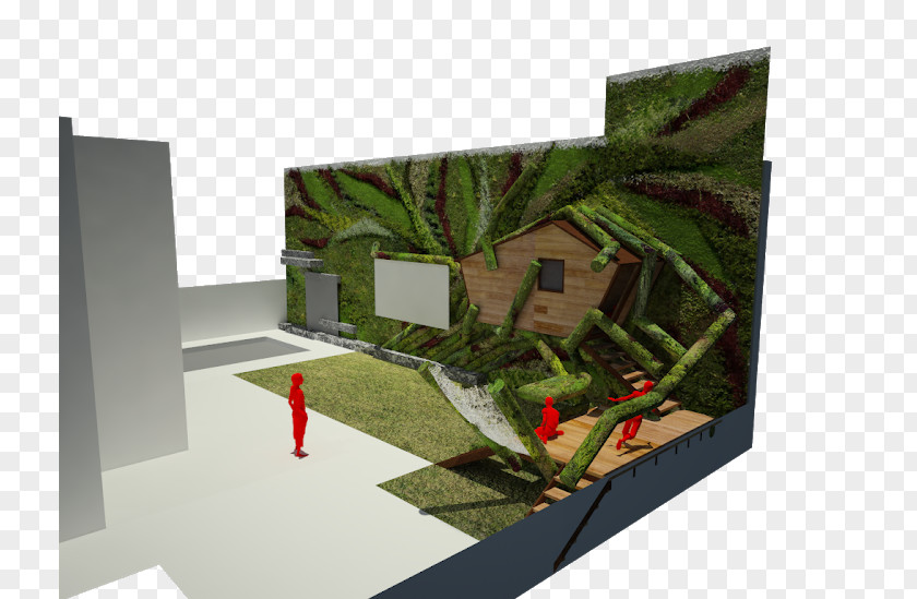House Garden Green Wall Tree PNG