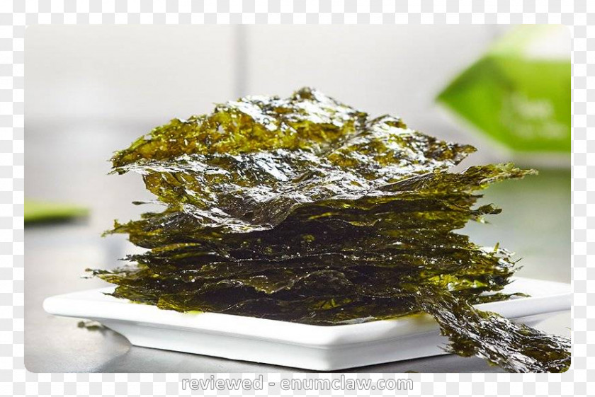 Nori Seaweed Green Laver Snack Food PNG