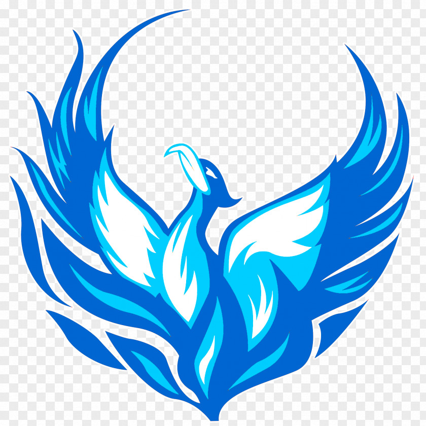 Phoenix Logo Drawing Clip Art PNG