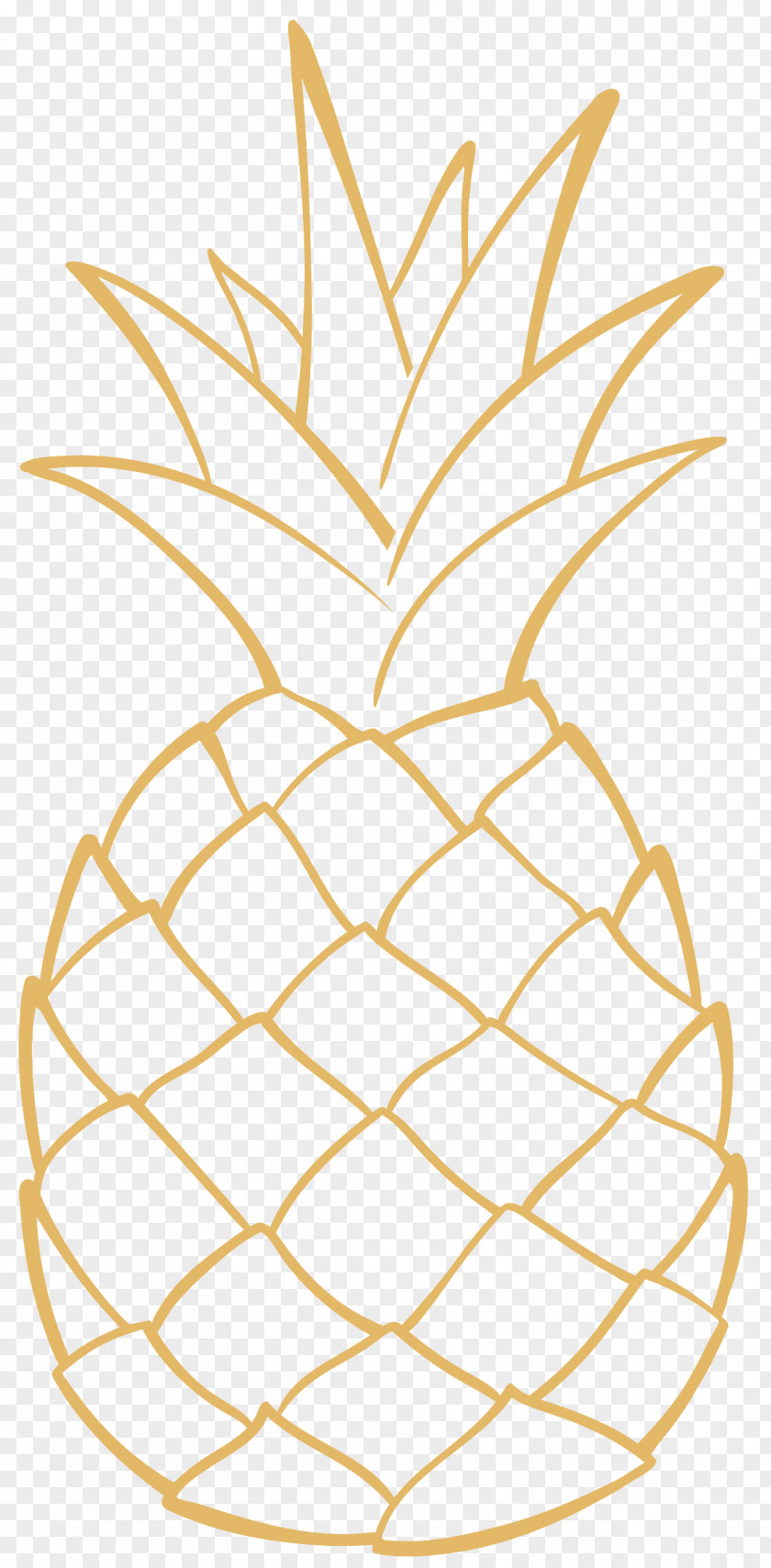 Pineapple Drawing Clip Art PNG