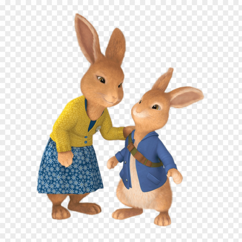 Rabbit The Tale Of Peter Animation Cartoon PNG