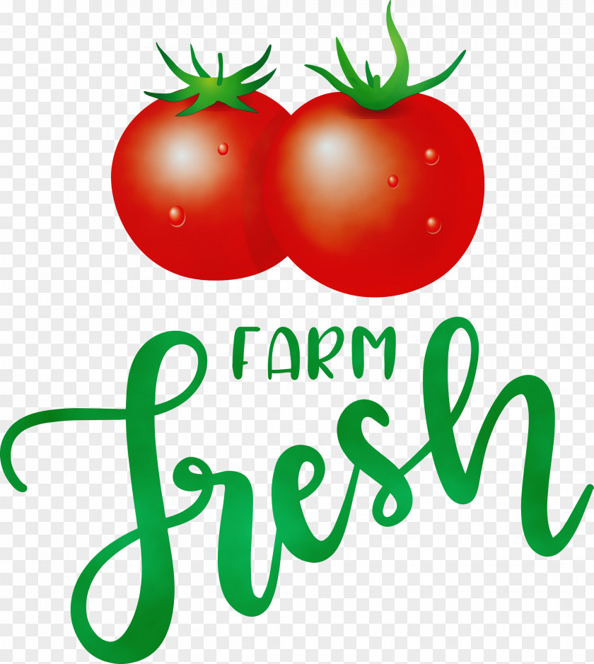 Tomato PNG