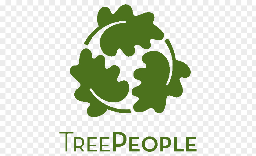 Tree TreePeople Organization Non-profit Organisation Planting PNG