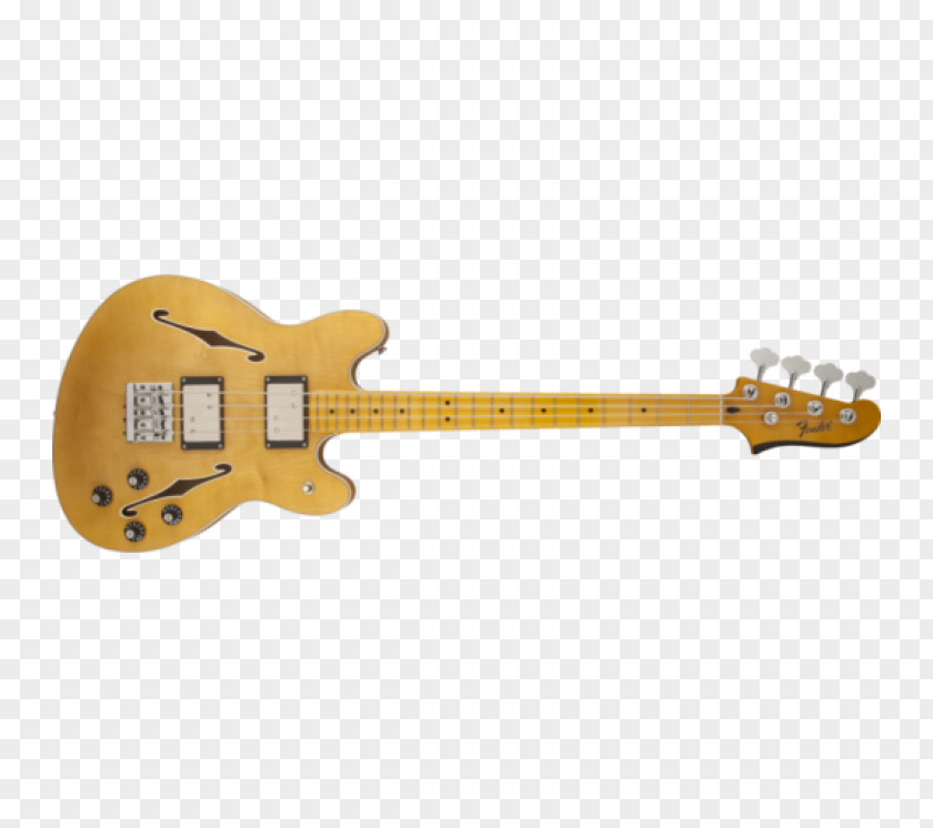 Bass Guitar Electric Fender Starcaster Musical Instruments Corporation Precision PNG