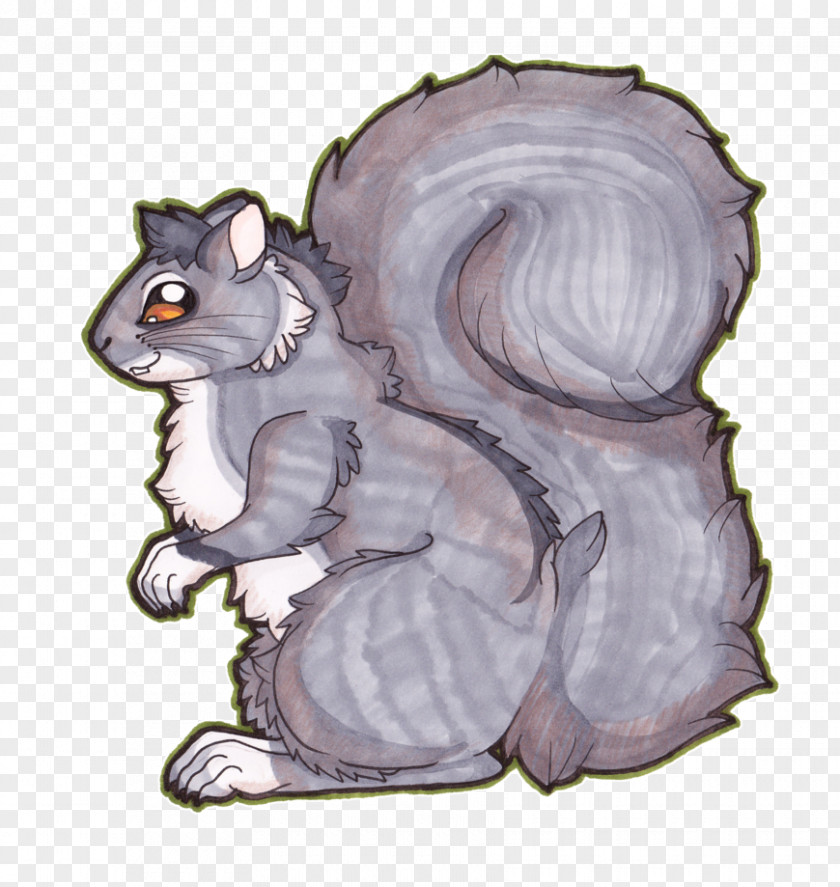 Grey Squirrel Whiskers Cat Computer Mouse Illustration PNG
