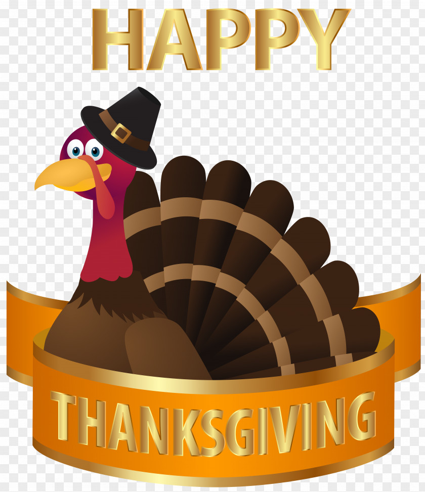 Happy Thanksgiving Turkey Transparent Image National Presentation United States Dinner PNG