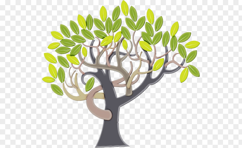 Tree Planting Branch Plants Wood PNG