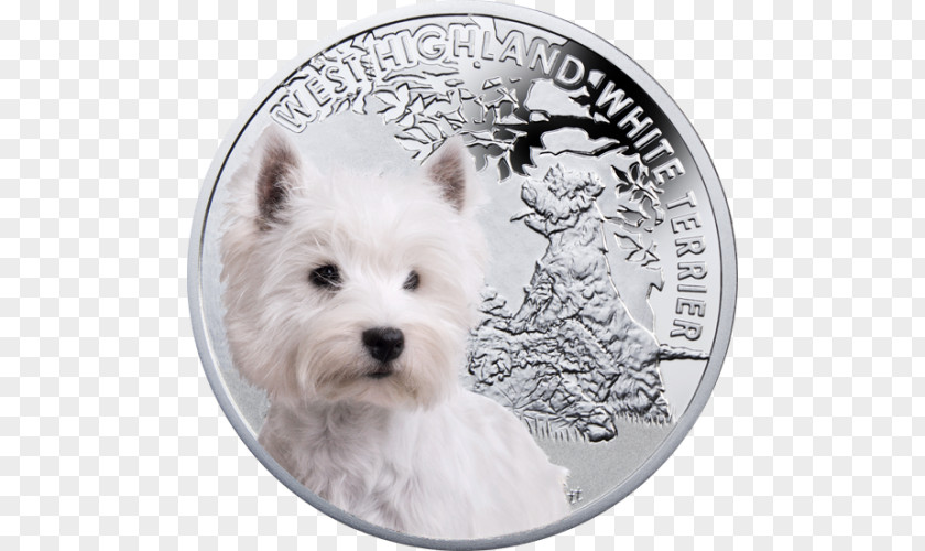 West Highland Terrier White Cairn Norwich Dog Breed Yorkshire PNG