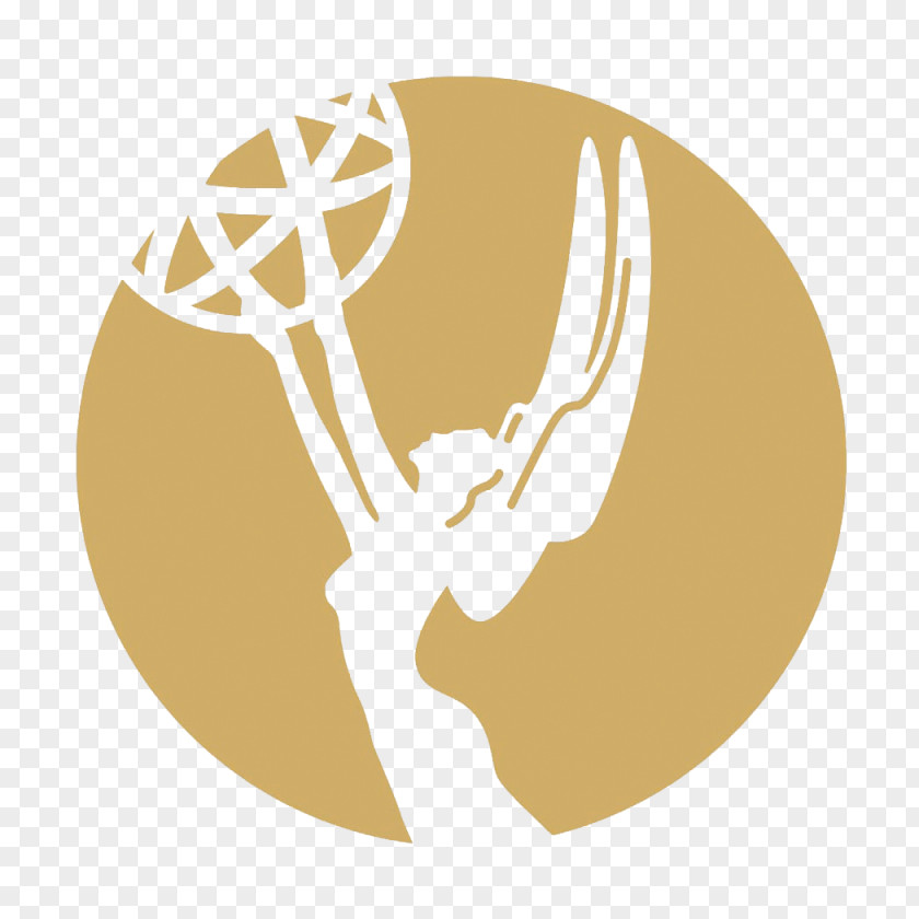 Award 69th Primetime Emmy Awards 68th 64th Upper Midwest PNG