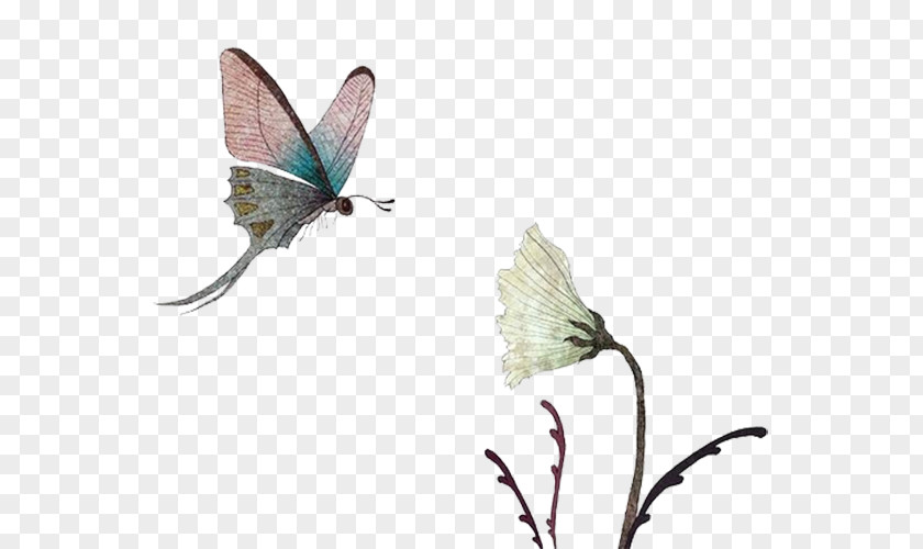Butterfly Fly Flight Euclidean Vector Computer File PNG