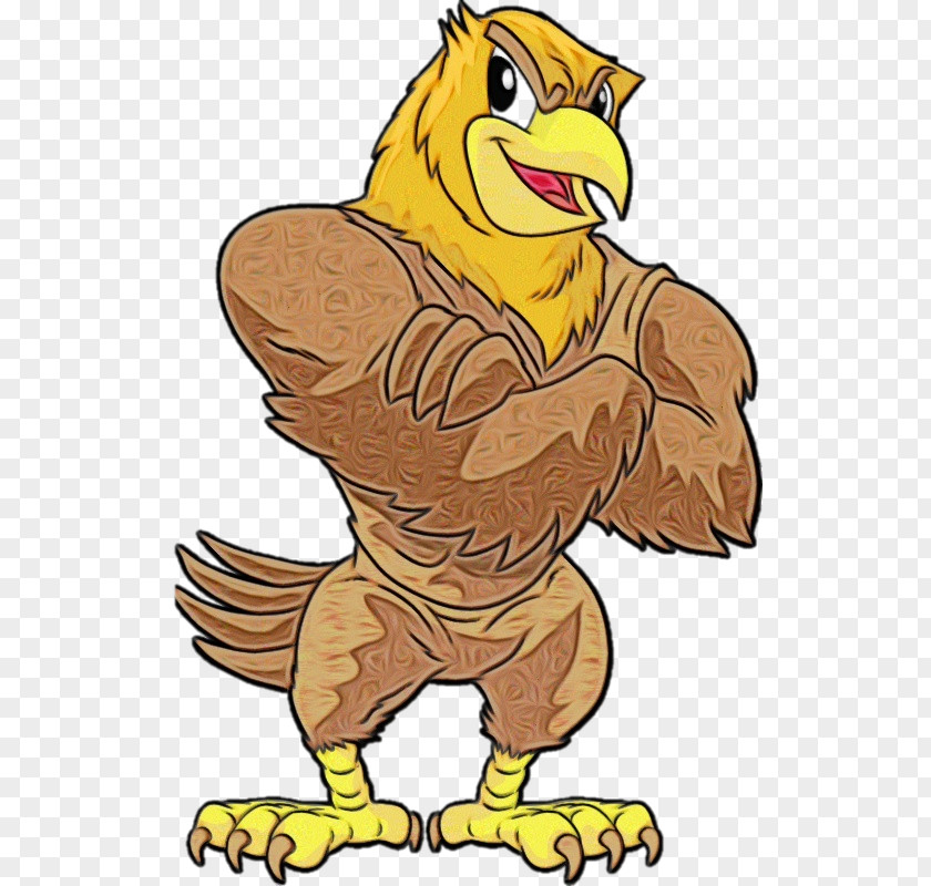 Cartoon Bird Eagle Beak Hawk PNG