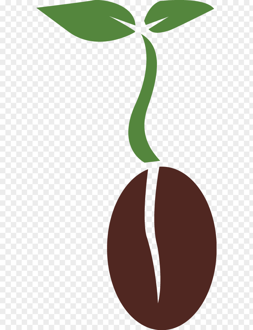 Biology Seed Plant Clip Art PNG