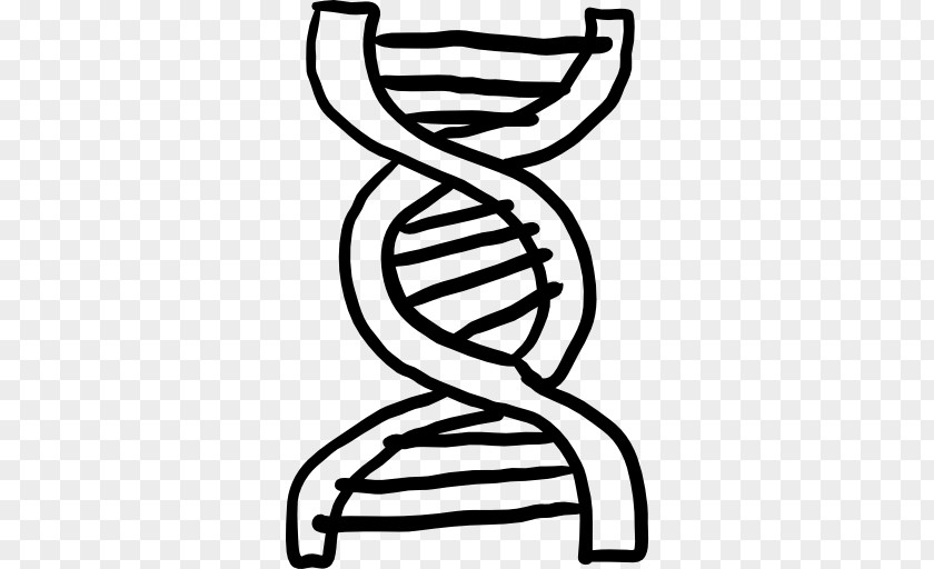 Dna Structure Human DNA Drawing Clip Art PNG