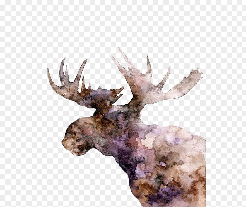 Drawing Decorative Deer Moose Elk Watercolor Painting PNG