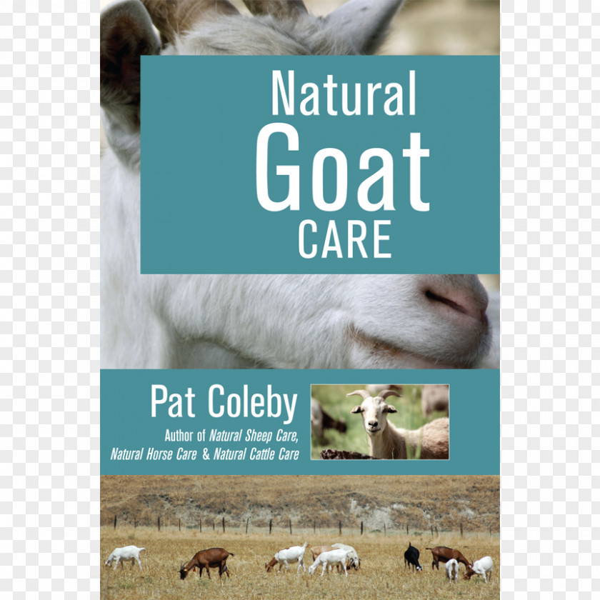 Goat Natural Care Horse Farming Naturally And Organic Animal Einkorn: Recipes For Nature's Original Wheat PNG