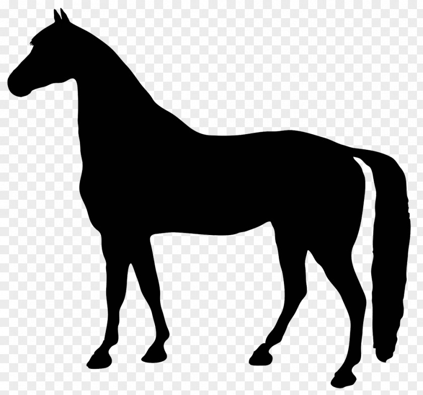 Horseshoe Standing Horse Silhouette Clip Art PNG
