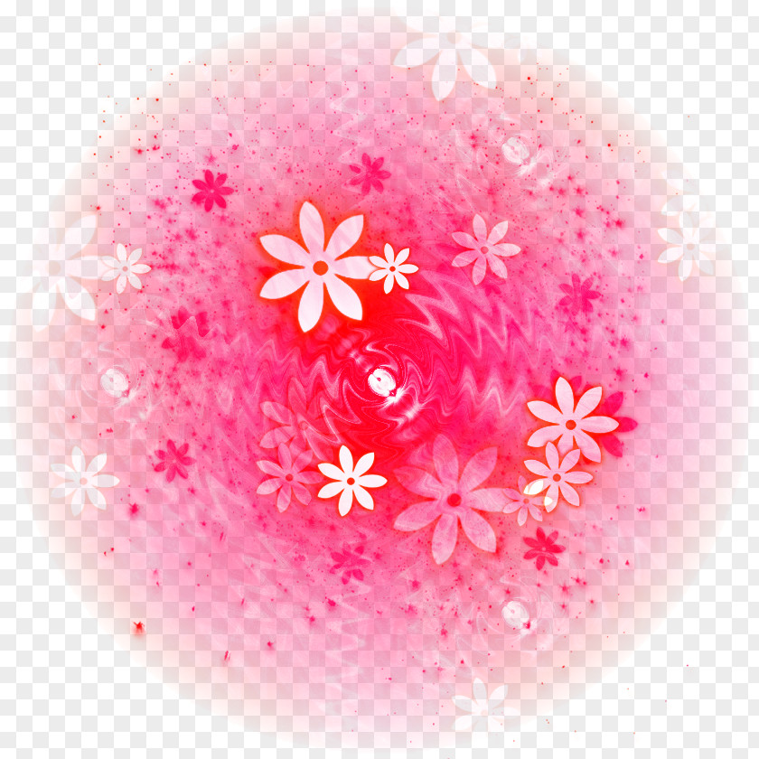 Point Of Light Close-up Pink Magenta Petal Flower PNG