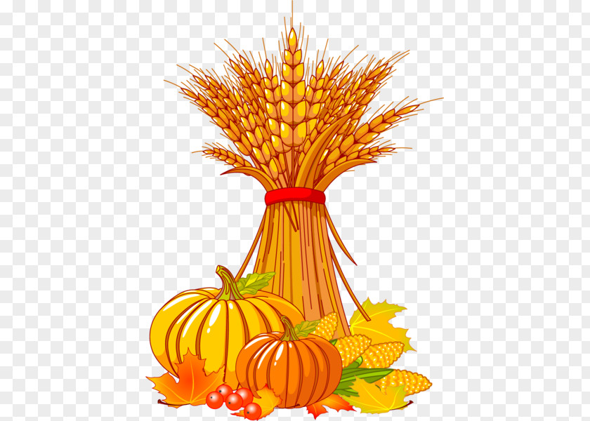 Autumn Harvest Wheat Clip Art PNG