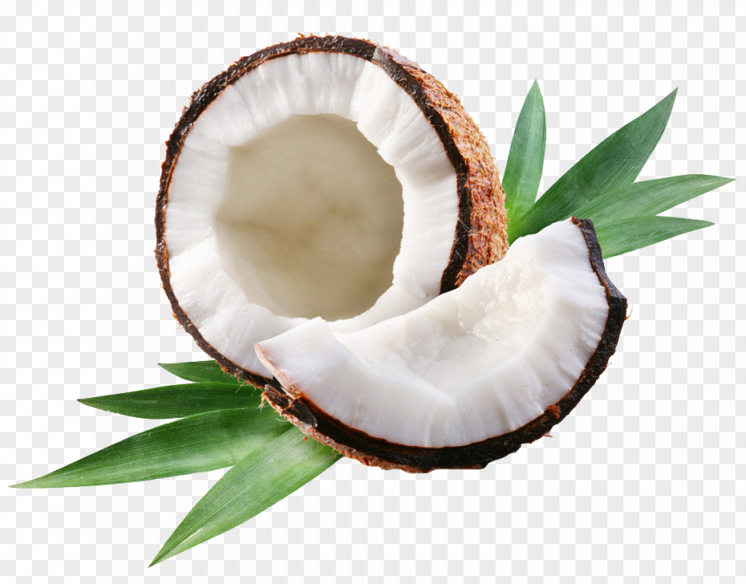Coconut Oil Water Milk Arecaceae PNG