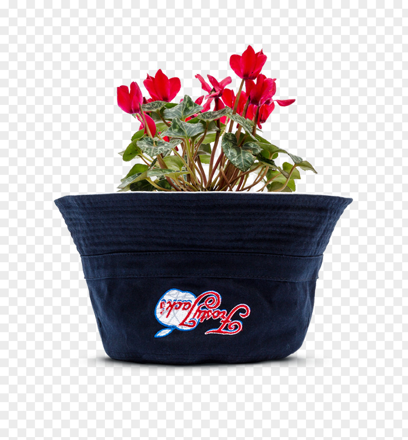 Flower Flowerpot PNG