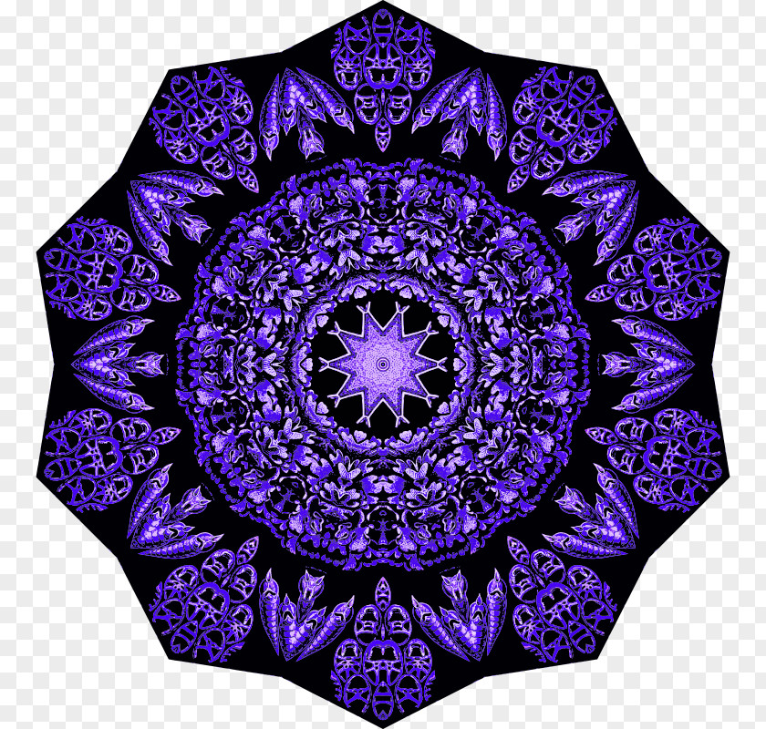 Purple Lavender Violet Lilac Blue PNG