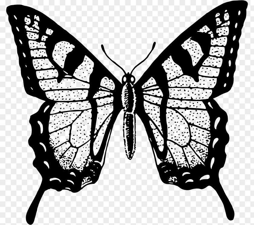 Butterfly Monarch Paper Decal Sticker PNG