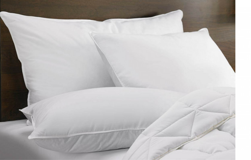 Pillow Down Feather Duvet Hotel Memory Foam PNG